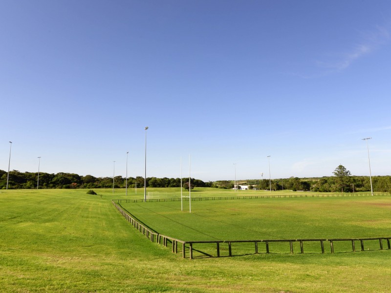 1303 Anzac Parade, Chifley NSW 2036