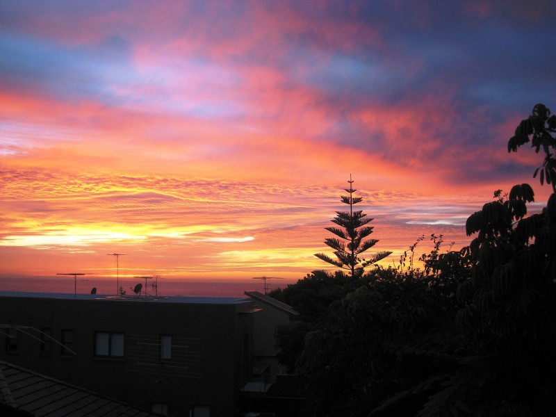 1/275 Military Road, Dover Heights NSW 2030