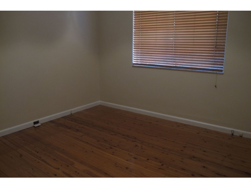 29 Prospect Street, Waverley NSW 2024