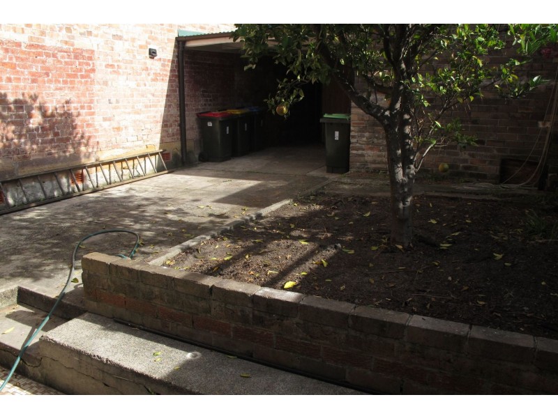 29 Prospect Street, Waverley NSW 2024