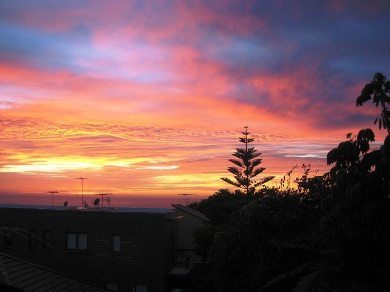 1/275 Military Road, Dover Heights NSW 2030