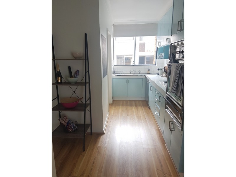 4/71-79 Avoca Street, Randwick NSW 2031