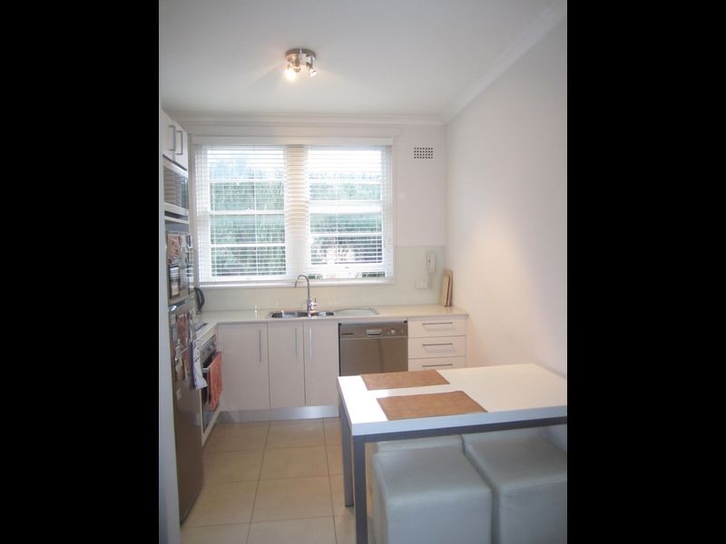 1/2 Oswald Street, Randwick NSW 2031