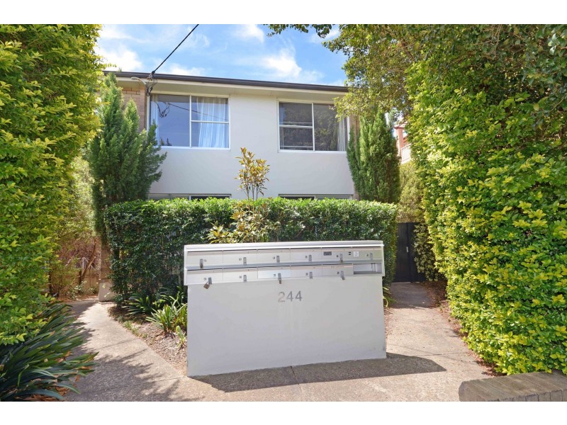 4/244 Maroubra Road, Maroubra NSW 2035