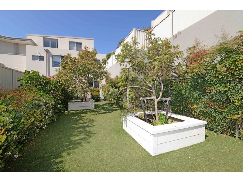 1/4 Dudley Street, Randwick NSW 2031