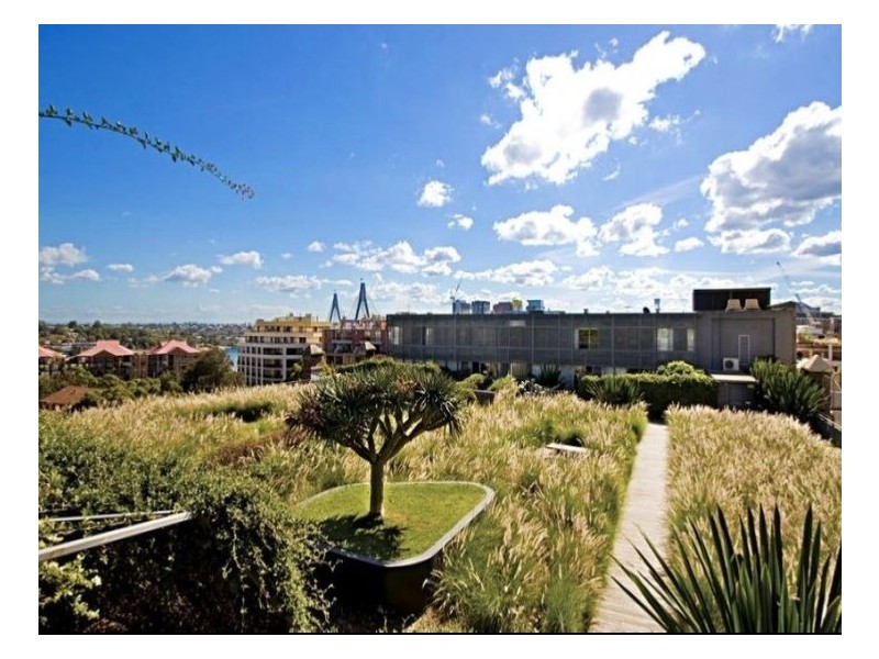 401/380 Harris Street, Pyrmont NSW 2009