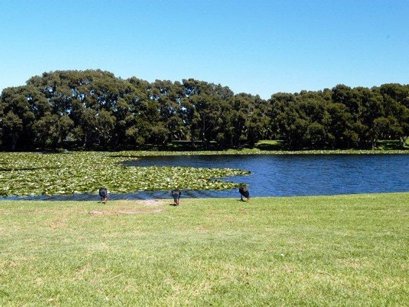 302C/254 Anzac Parade, Kensington NSW 2033