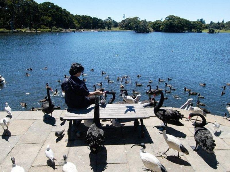 302C/254 Anzac Parade, Kensington NSW 2033