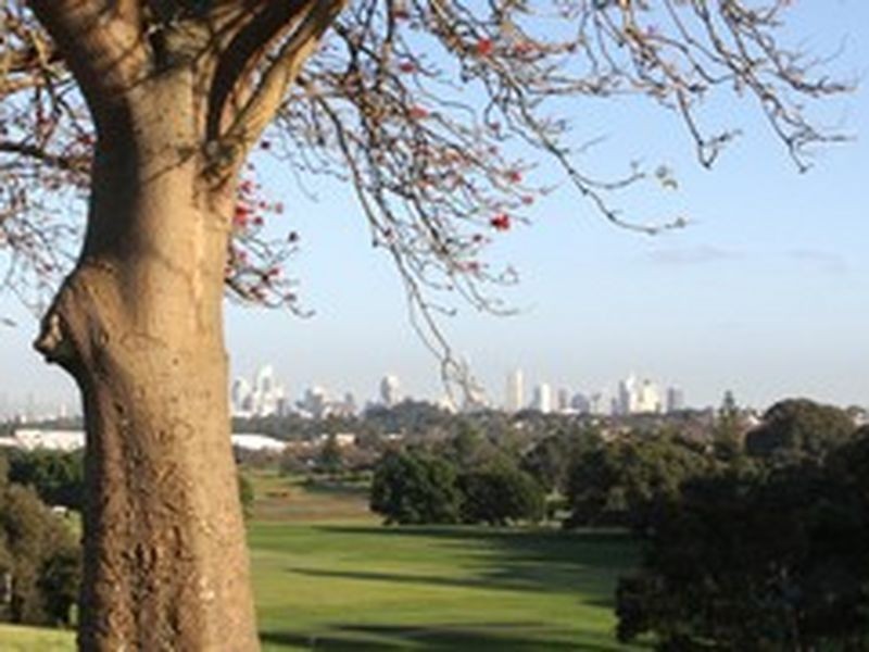 81 Rawson Street, Queens Park NSW 2022