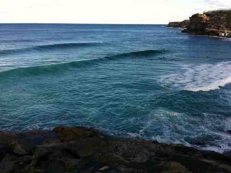 u/307 Clovelly Road, Clovelly NSW 2031