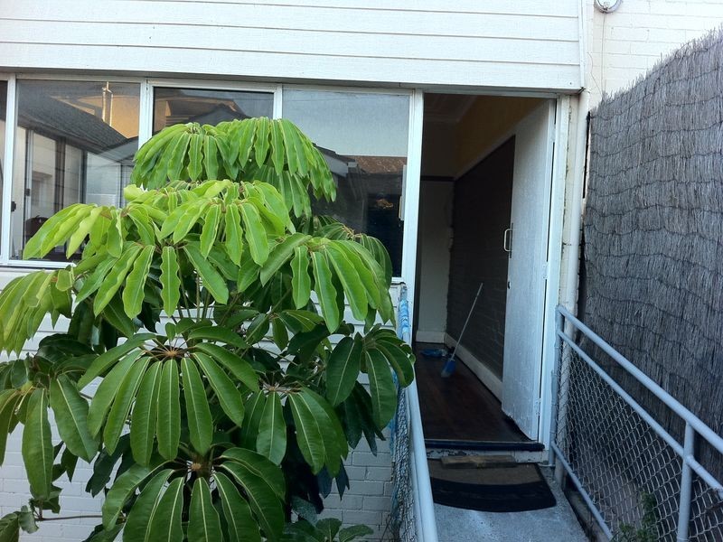 u/307 Clovelly Road, Clovelly NSW 2031