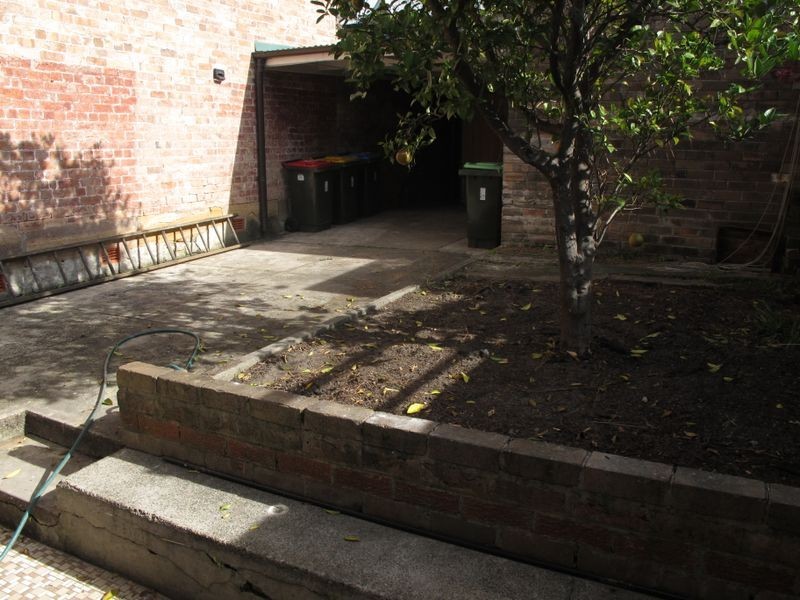 29 Prospect Street, Waverley NSW 2024