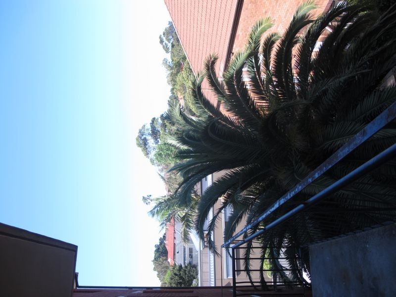 8/75 O’Brien Street, Bondi NSW 2026