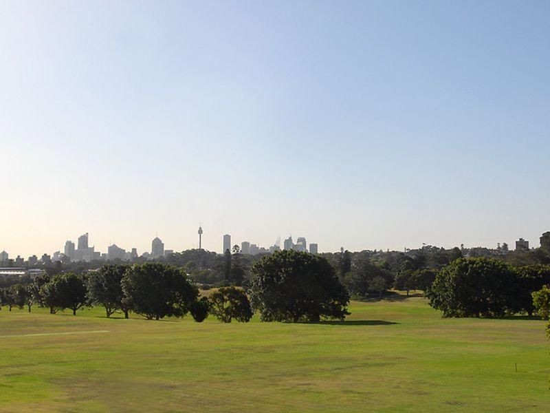 8/225 Darley Rd, Randwick NSW 2031