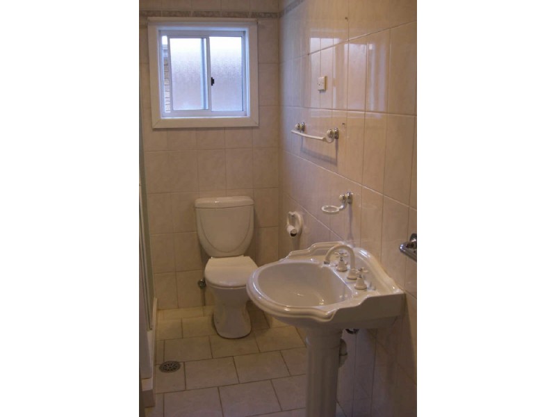 20 Irene Street, Panania NSW 2213