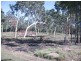 Lot 7 Midge Point Road, Midge Point QLD 4799
