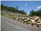 148 Kookaburra Drive, Riordanvale QLD 4800