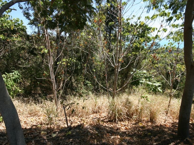 Lot 5 Satinwood Estate Horizons Way, Airlie Beach QLD 4802