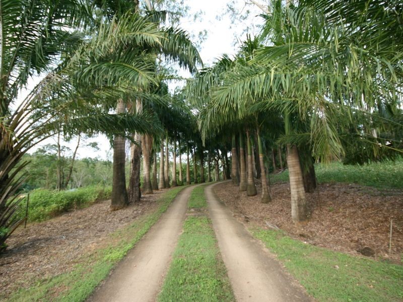 24 Telford Road, Strathdickie QLD 4800