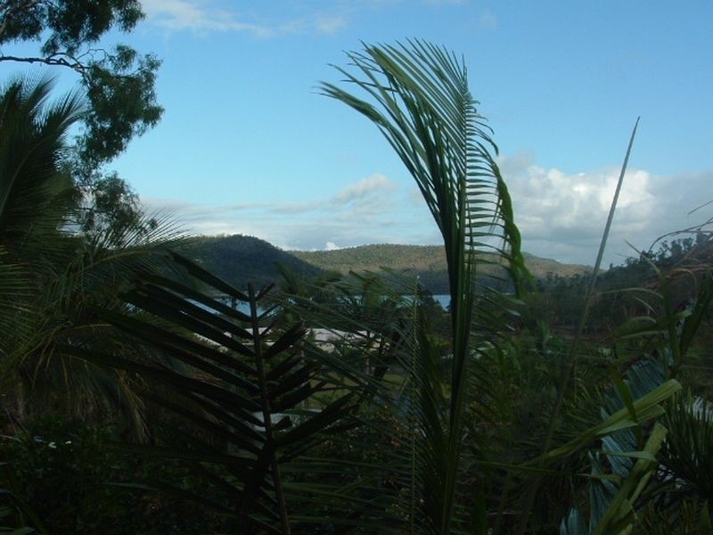 Cannonvale QLD 4802