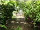 Jubilee Pocket QLD 4802