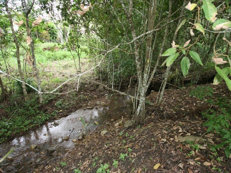 Cannonvale QLD 4802