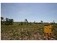 Lot 165 Whitsunday Drive, Bloomsbury QLD 4799