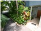 12 Bay Terrace, Shute Harbour QLD 4802
