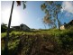 29 South Molle Boulevarde, Cannonvale QLD 4802