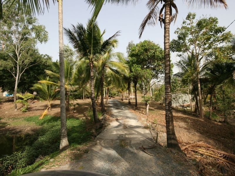 66 Domenica Road, Sugarloaf QLD 4800