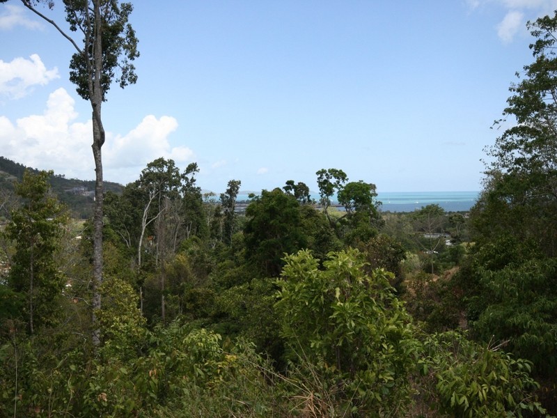 Lot 94 Curlew Court, Jubilee Pocket QLD 4802