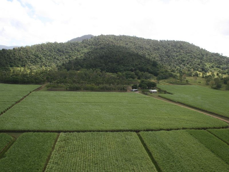 81 Telford Road, Strathdickie QLD 4800