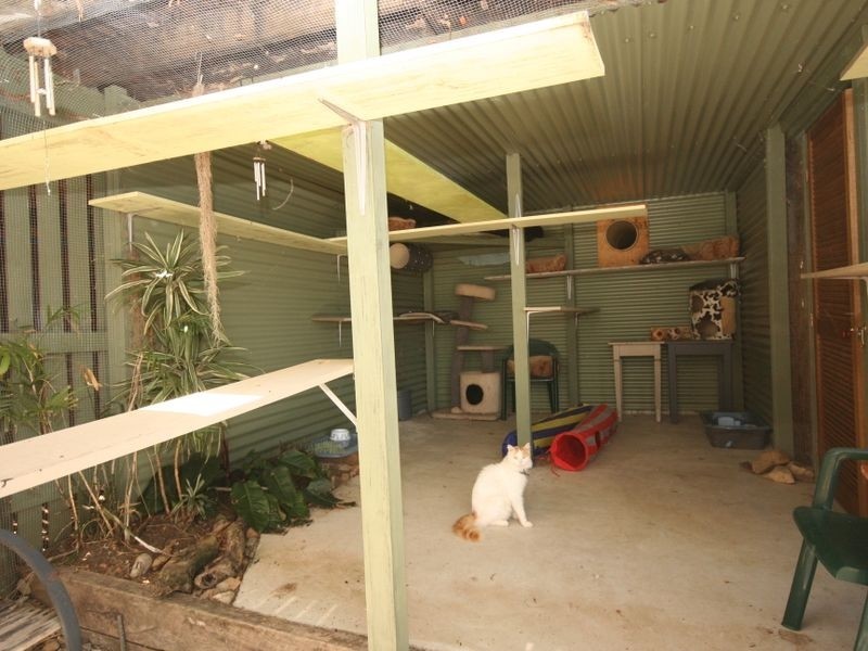 20 Hibiscus Road, Cannon Valley QLD 4800