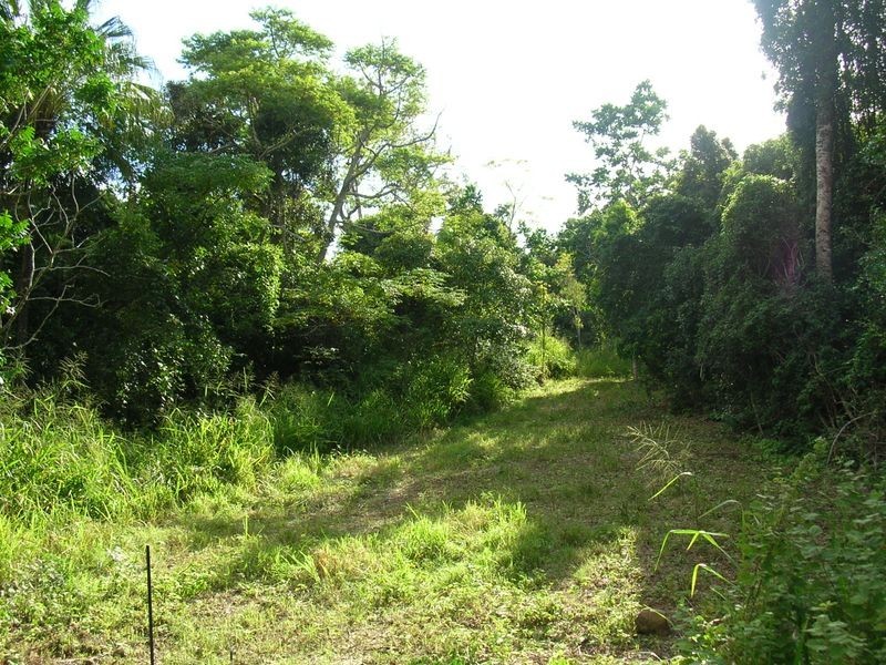 Lot 29 Staniland Drive, Strathdickie QLD 4800
