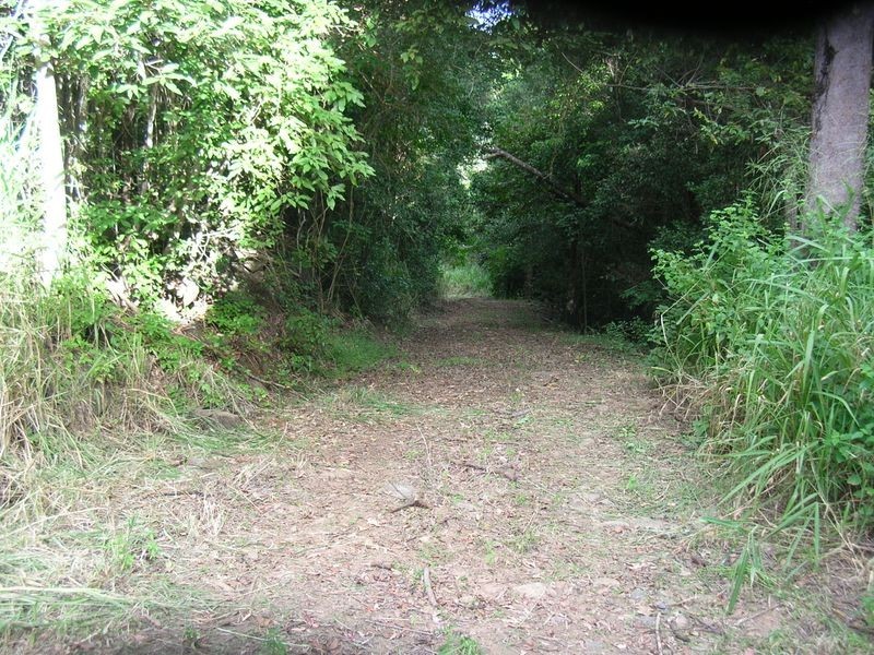 Lot 29 Staniland Drive, Strathdickie QLD 4800