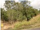 Lot 29 Staniland Drive, Strathdickie QLD 4800