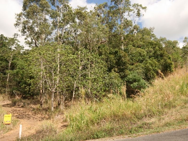 Lot 29 Staniland Drive, Strathdickie QLD 4800