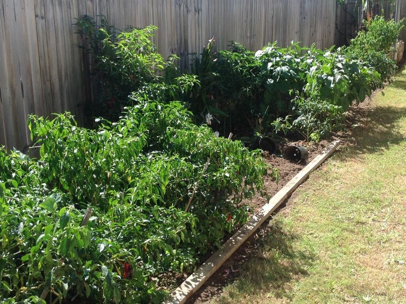 35 Philong Street, Doolandella QLD 4077