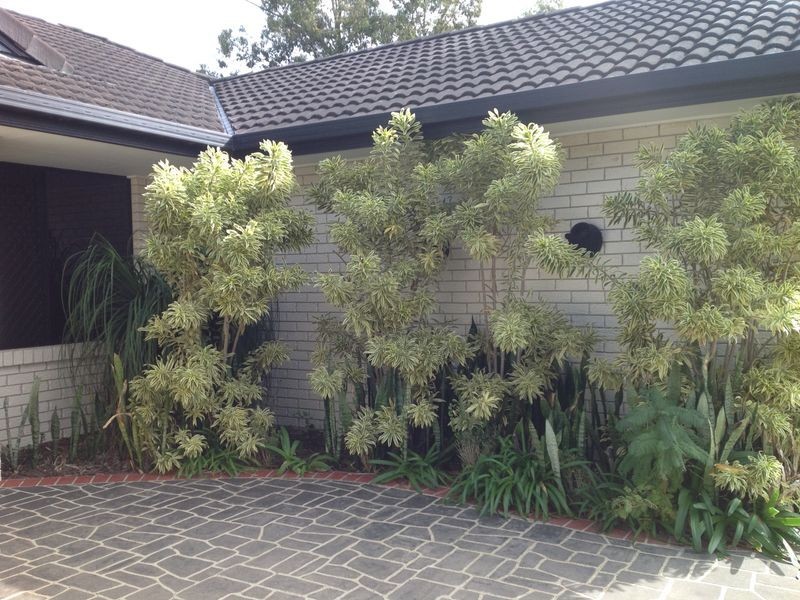 4 Blaxland Place, Forest Lake QLD 4078