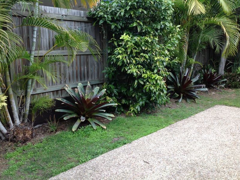 29 Carisbrook Circuit, Forest Lake QLD 4078