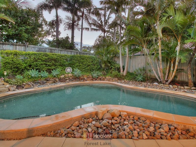 35 Serrata Circuit, Forest Lake QLD 4078