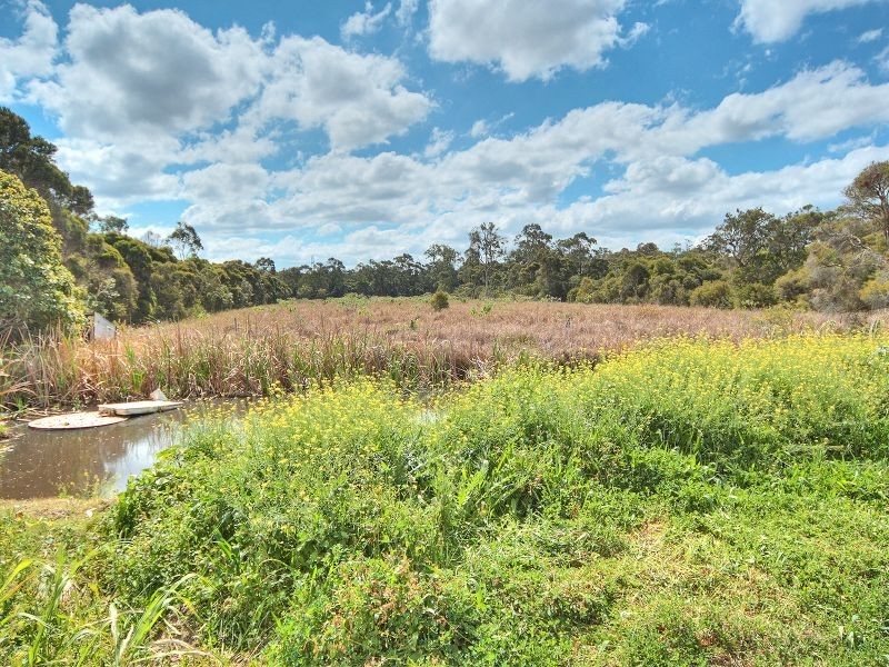 135 King Avenue, Willawong QLD 4110