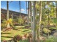 51 Wallaroo Way, Doolandella QLD 4077