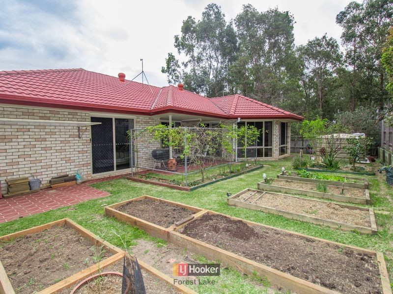 9 Prospero Circuit, Springfield Lakes QLD 4300