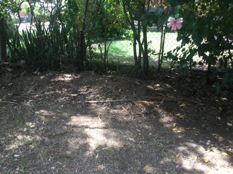 73 Irwin Terrace, Oxley QLD 4075