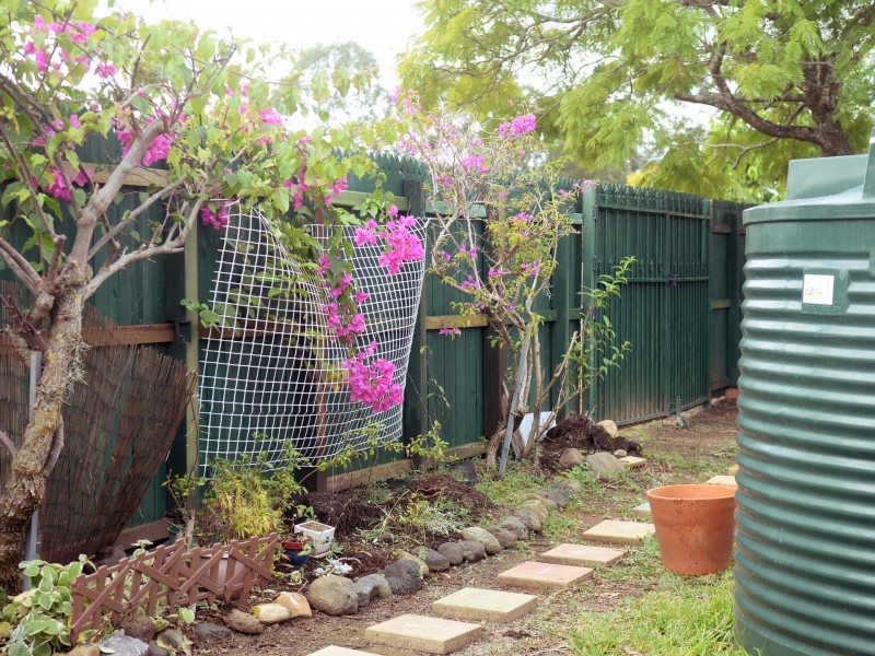 8 Evergreen Place, Forest Lake QLD 4078