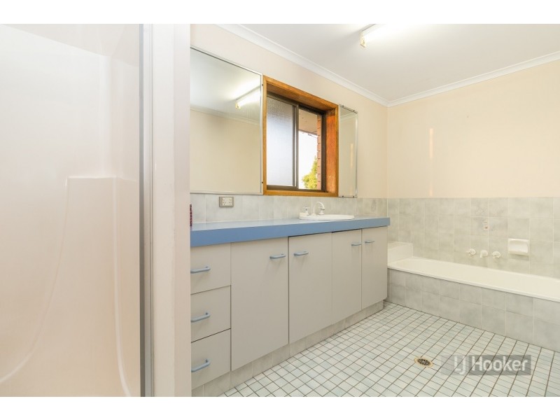 17 Karen Street, Camira QLD 4300