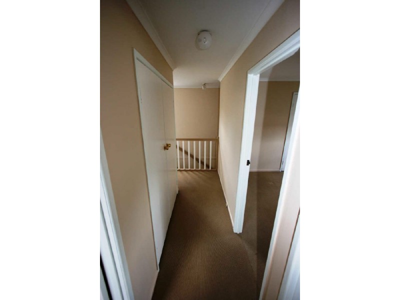 16 Peppin Street, Durack QLD 4077