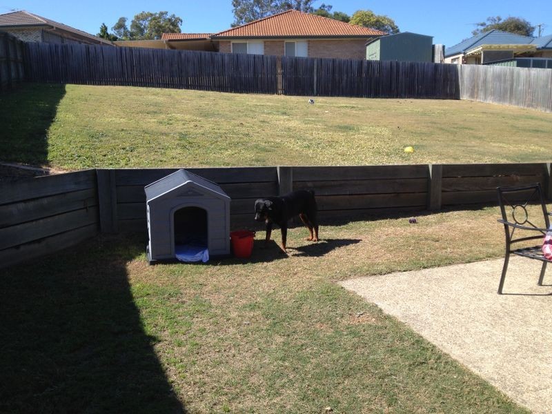5 Rae Close, Camira QLD 4300