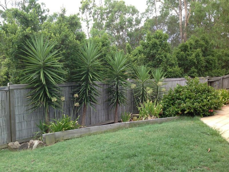 35 Coachwood Crescent, Forest Lake QLD 4078